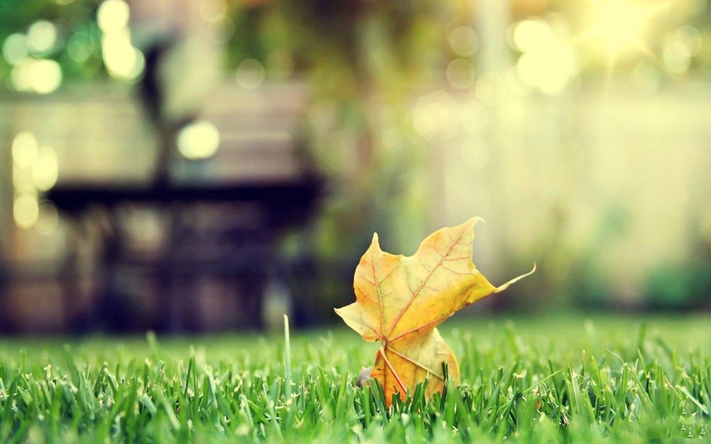 Tạo thiệp danh ngôn cuộc sống