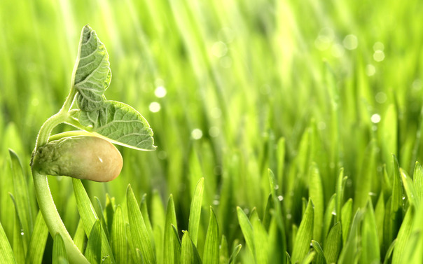 Tạo thiệp danh ngôn công việc