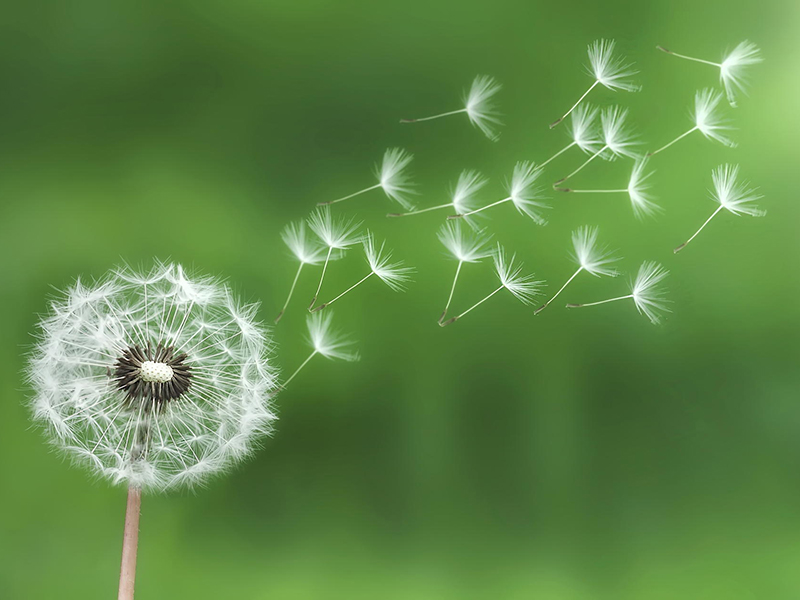 Tạo danh ngôn về cuộc sống online