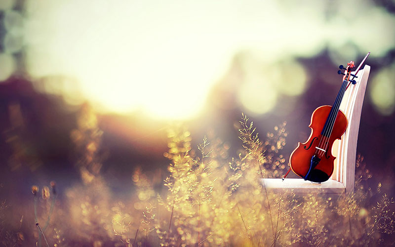 Tạo thông điệp ngày mới